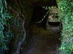 Mitchell's Gully Gold Mine