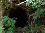 Mitchell's Gully Gold Mine